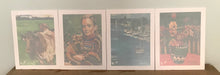 Load image into Gallery viewer, Wet Reveal: 4 Pack